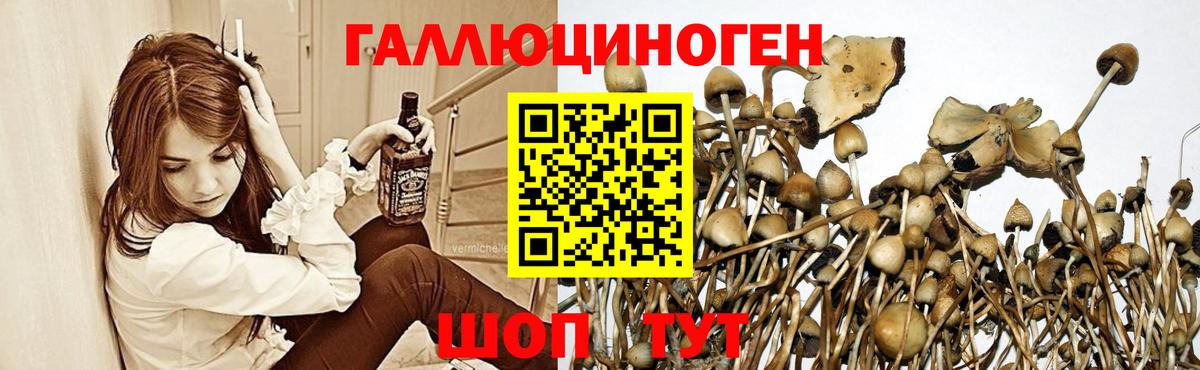 Галлюциногенные грибы ЛСД  Вход с VPN  Архангельск 